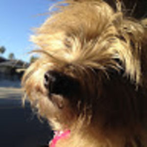 Meet your Posher, Mary kate